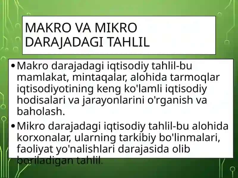MIKRO VA MAKRO DARAJA TAHLILI 4