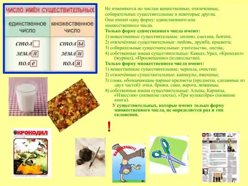 Имя существительное 4