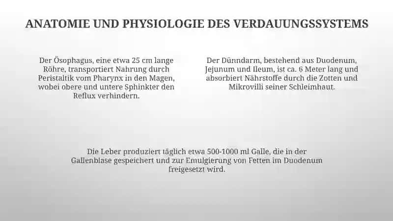 Fremdsprache in der Medizin 4