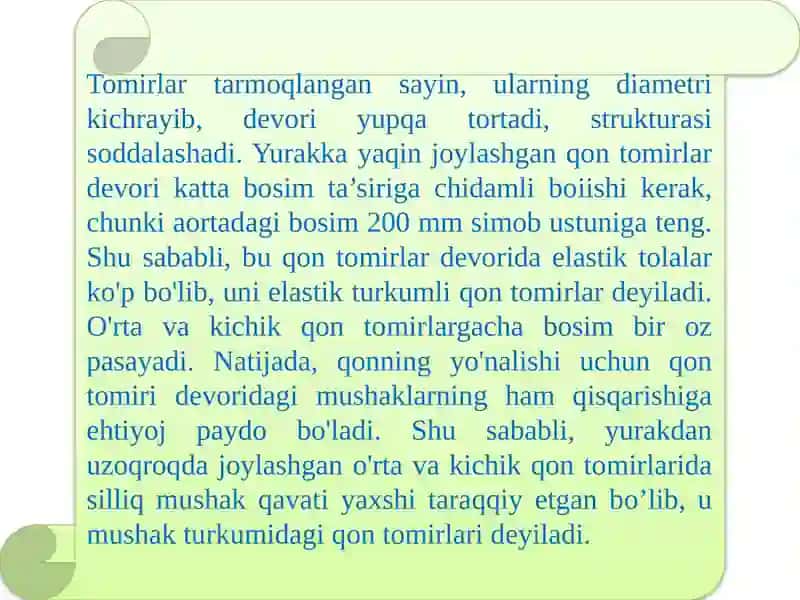 Yurak-qontomirlar tuzilishi 4