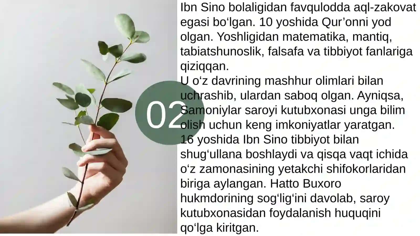 Ibn Sino hayoti va faoliyati haqida 4