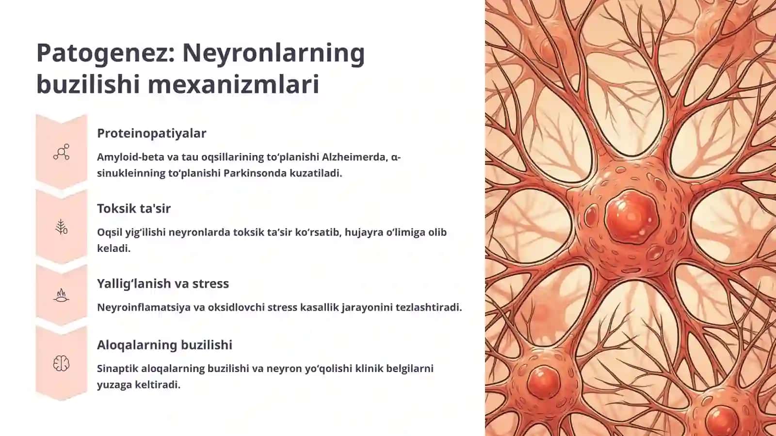 Neyrodegenerativ kasalliklar (Alsgeymer, Parkinson kasalliklari, Gentington xoreyasi) Etiologiyasi, patogenez, klinika, diagnostika, defferensial diagnostikasi 4