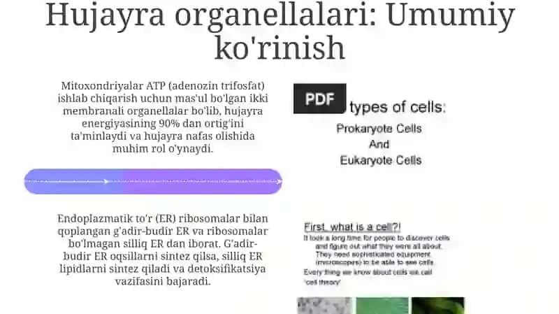 Hujayra tuzilishi 4