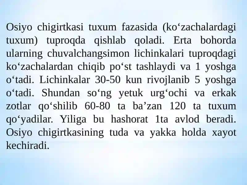 HAMMAXO’R ZARARKUNANDALARI BIOEKOLOGIYASI 4
