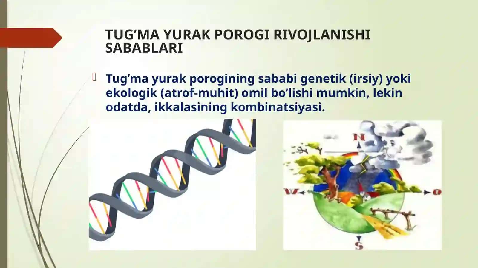 Toshkent Tibbiyot Akademiyasi MUSTAQIL ISH 4