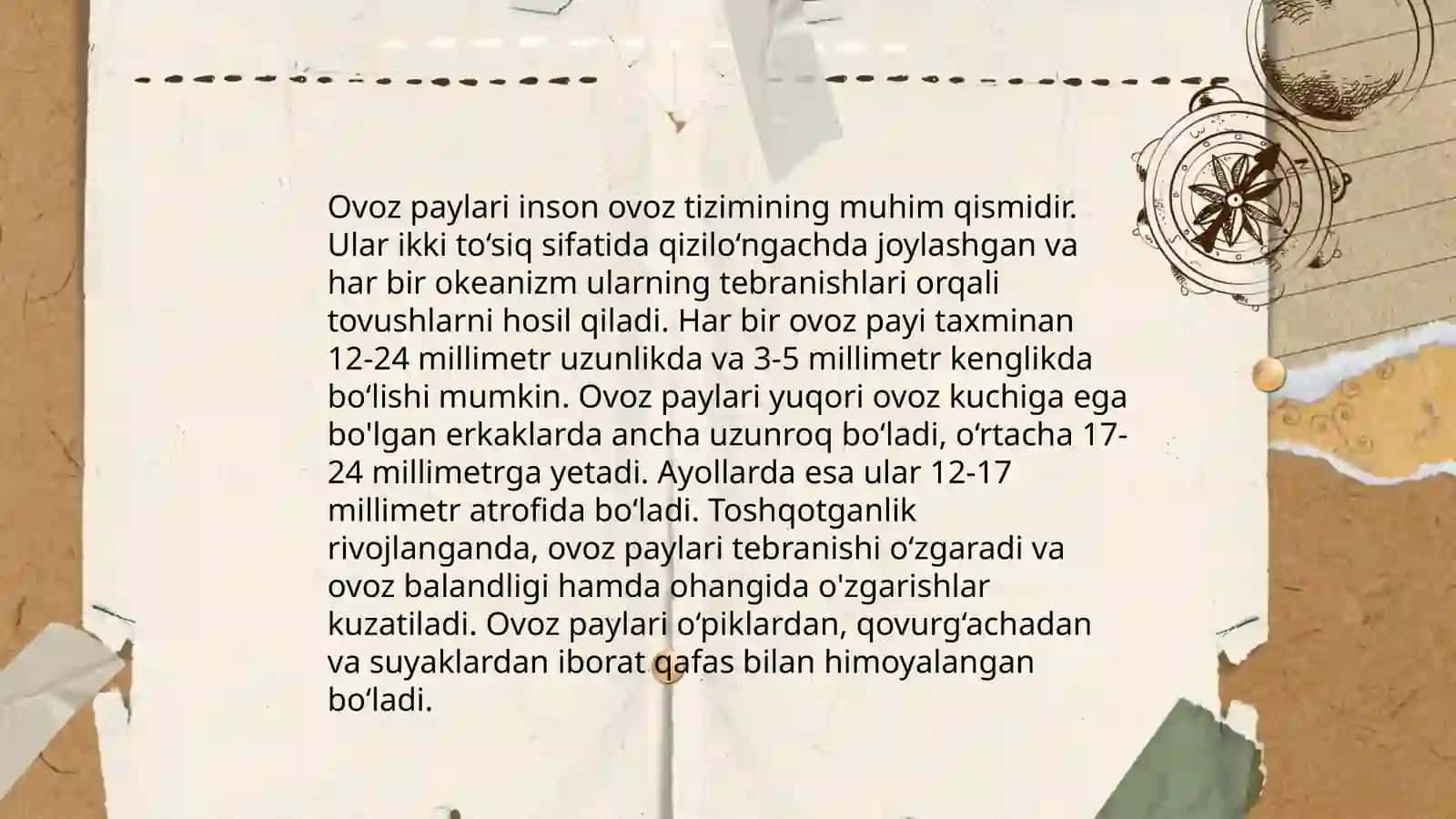 Inson nutq organlari haqida asosiy tushuncha 4