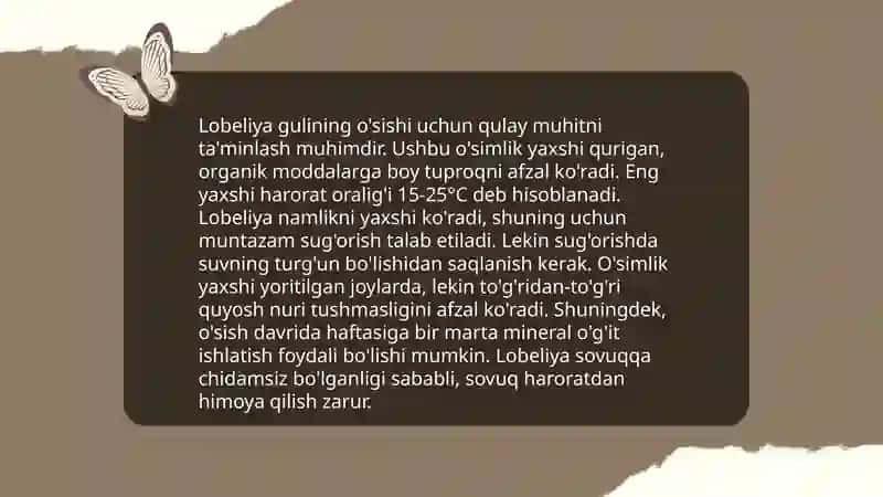 Lobeliya gulini bioekologik hususiyati 4