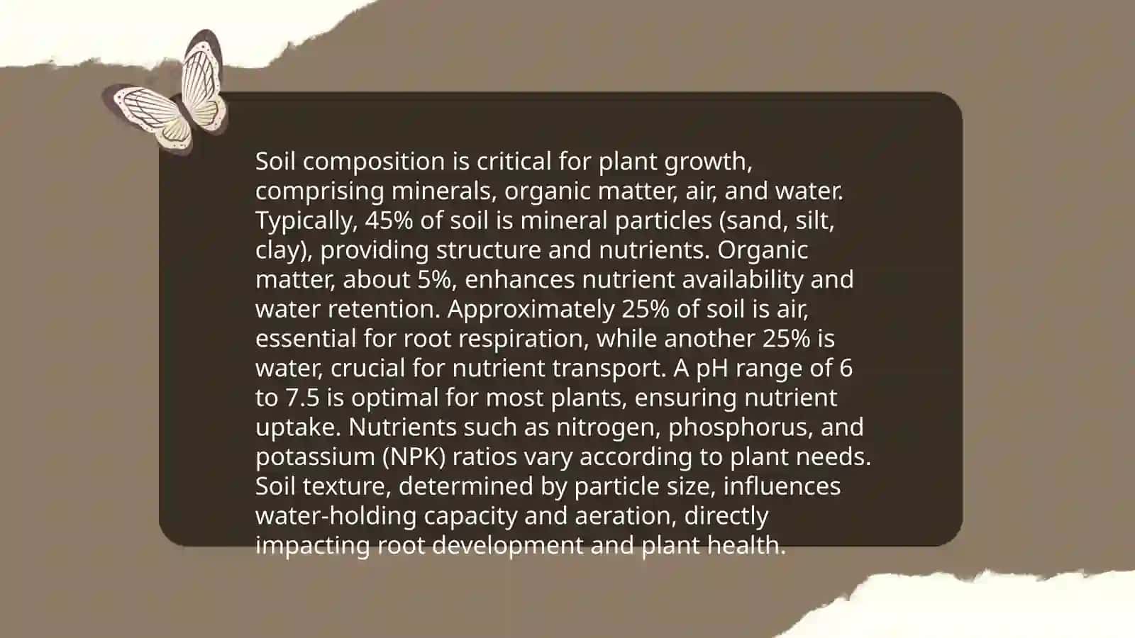 Plantformation and their environment 4