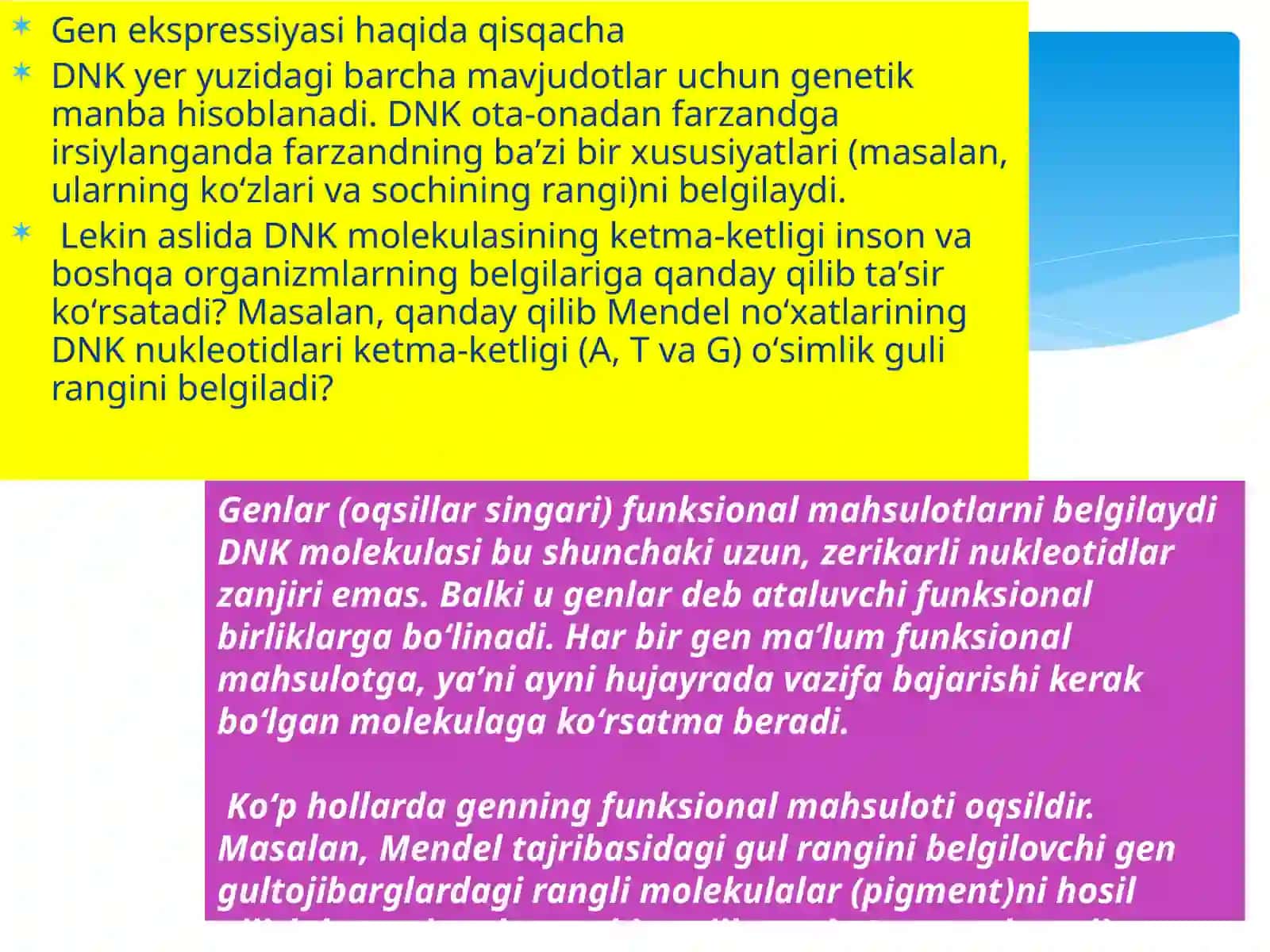 Genekspressiyasining boshqarilishi 4