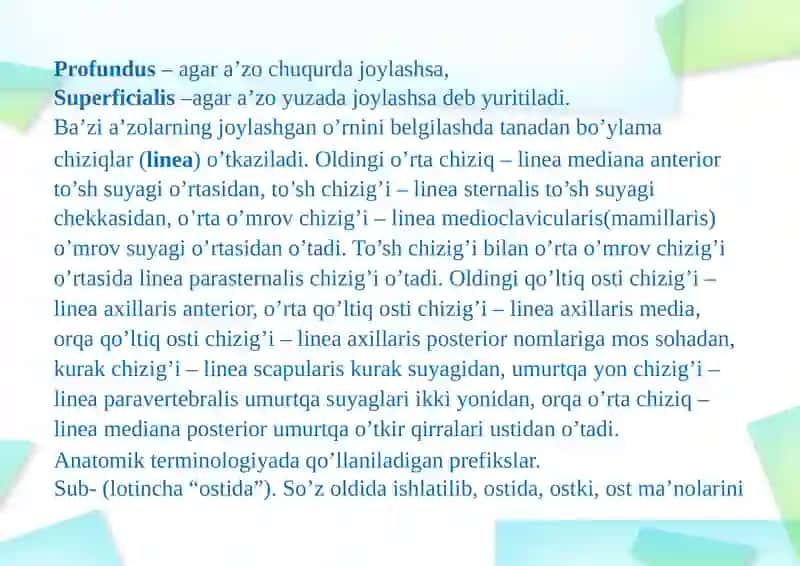 ANOTOMIK IBORALARNI TARJIMASI 4