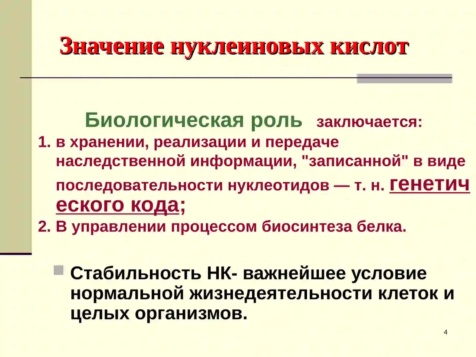 Нуклеиновые кислоты 4