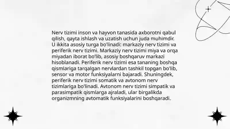 Oliy nerv faoliyating tiplari 4