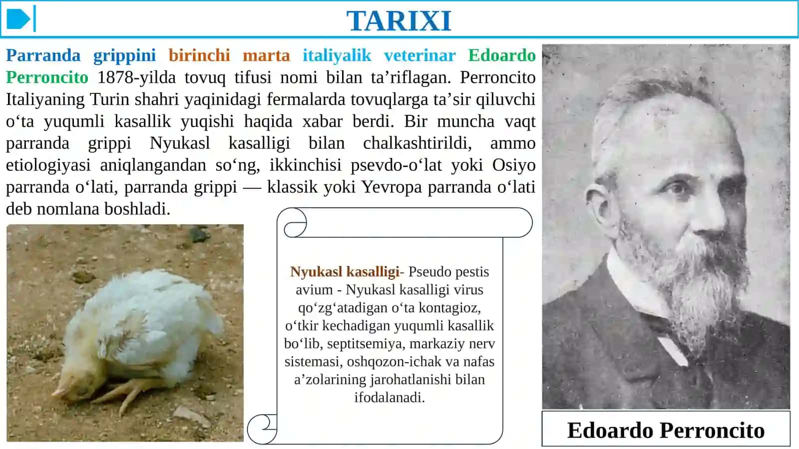 PARRANDA VA CHO'CHQA GRIPPI VA UNING HOZIRGI KUNDAGI MUAMMOLARI 4