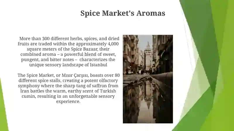 Artistic Expressions of Istanbul 4