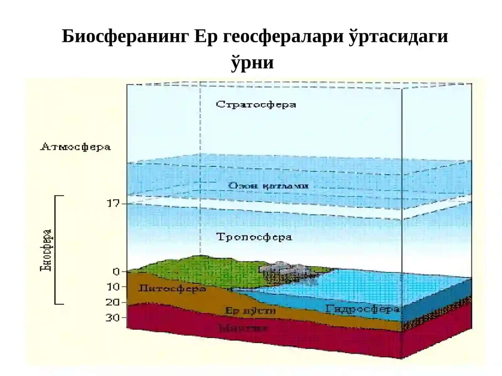 GEOGRAFIK QOBIQNING GORIZONTAL TUZILISHI. BIOSFERA 4