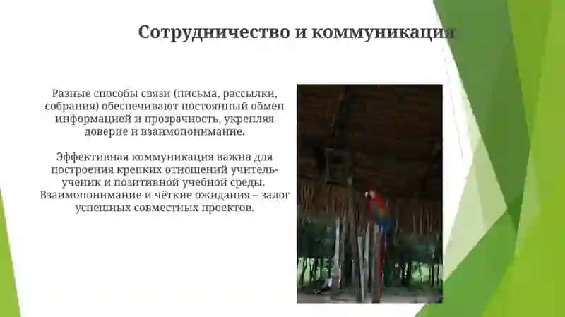 Моя педагогическая философия 4