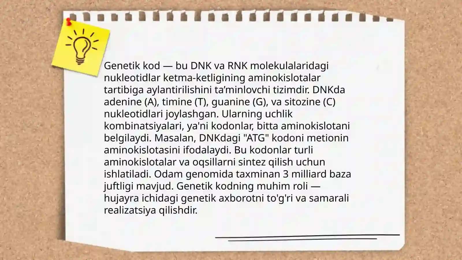DNK ning oqsil biosintezidagi ro’li 4