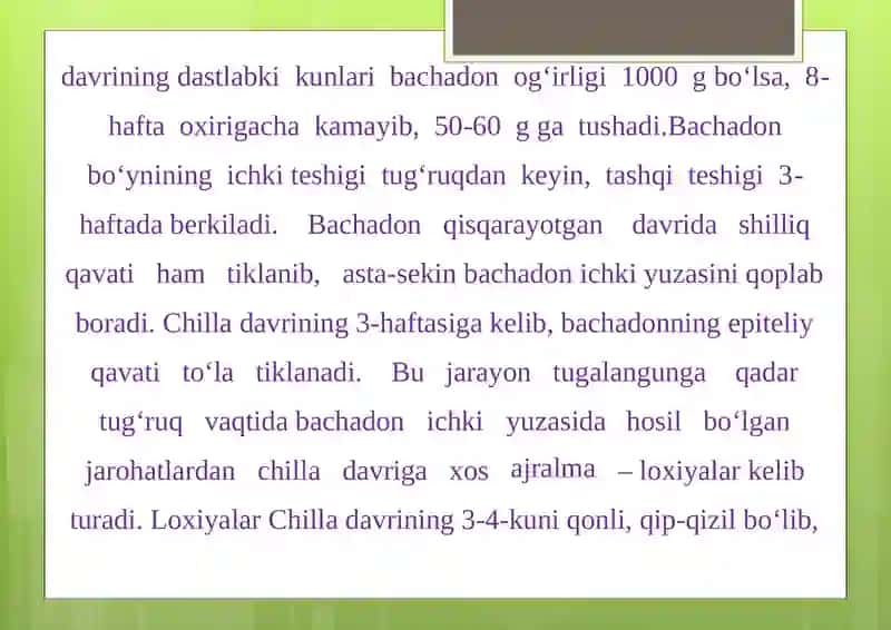 Chilla 4