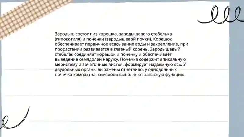 Стороение семян и плодов 4