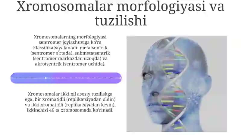 Xromosomalarning klasifikatsiya sistemalari 4