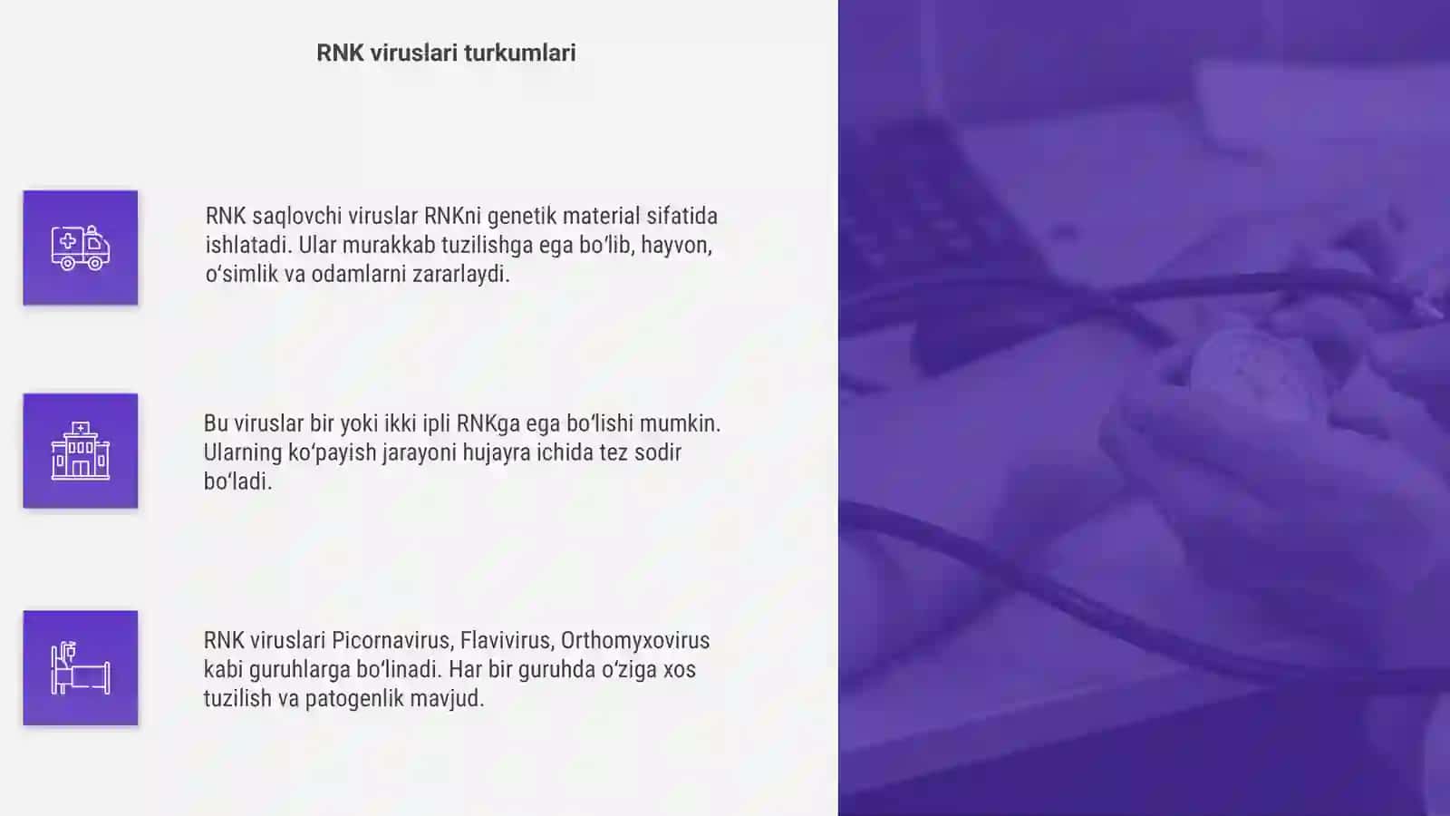 RNK saqlovchi viruslar klassifikatsiyasi 4