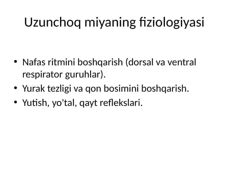 Miya pog'onalari va ularning ahamiyati 4