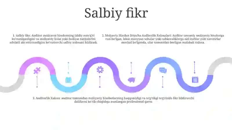 Moliyaviy Hisobot Böyicha Auditorlik Xulosalari 4