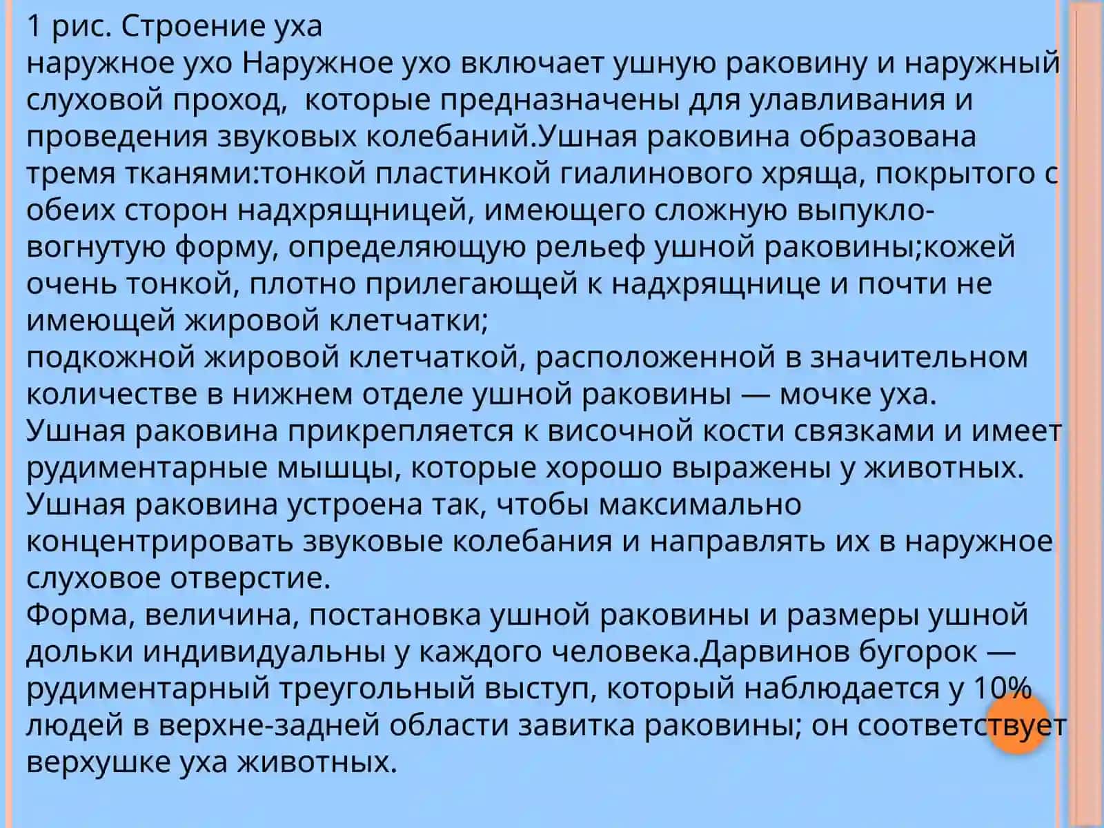 Строение и работа слухового анализатора человека 4