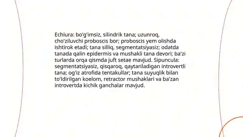 Echiura va sipuncula 4