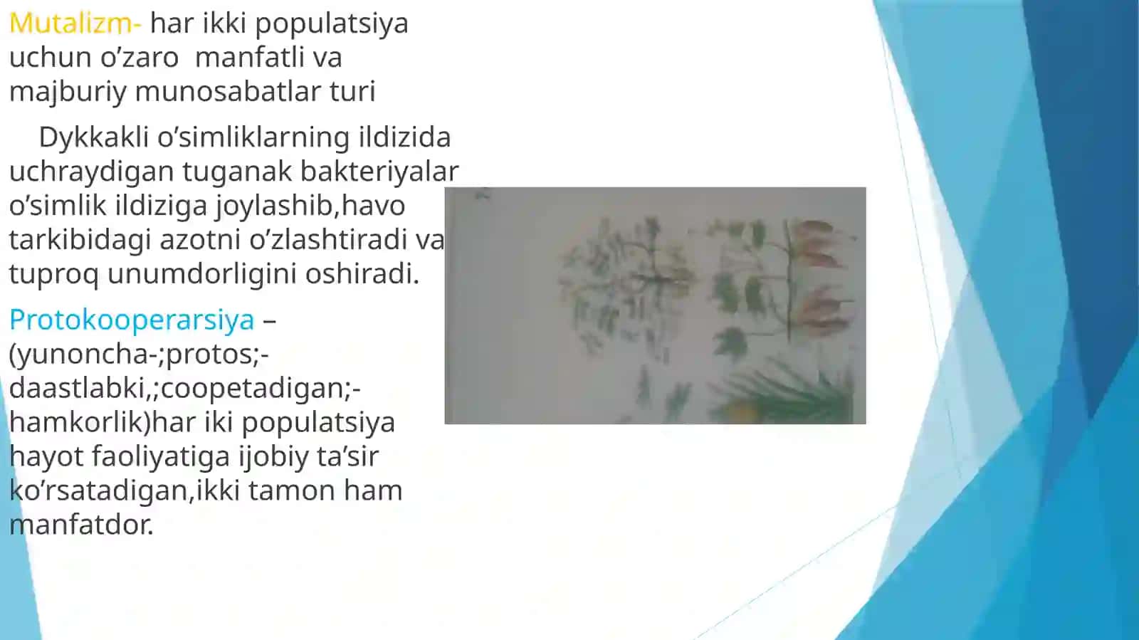 Muhitning biotiko millari 4