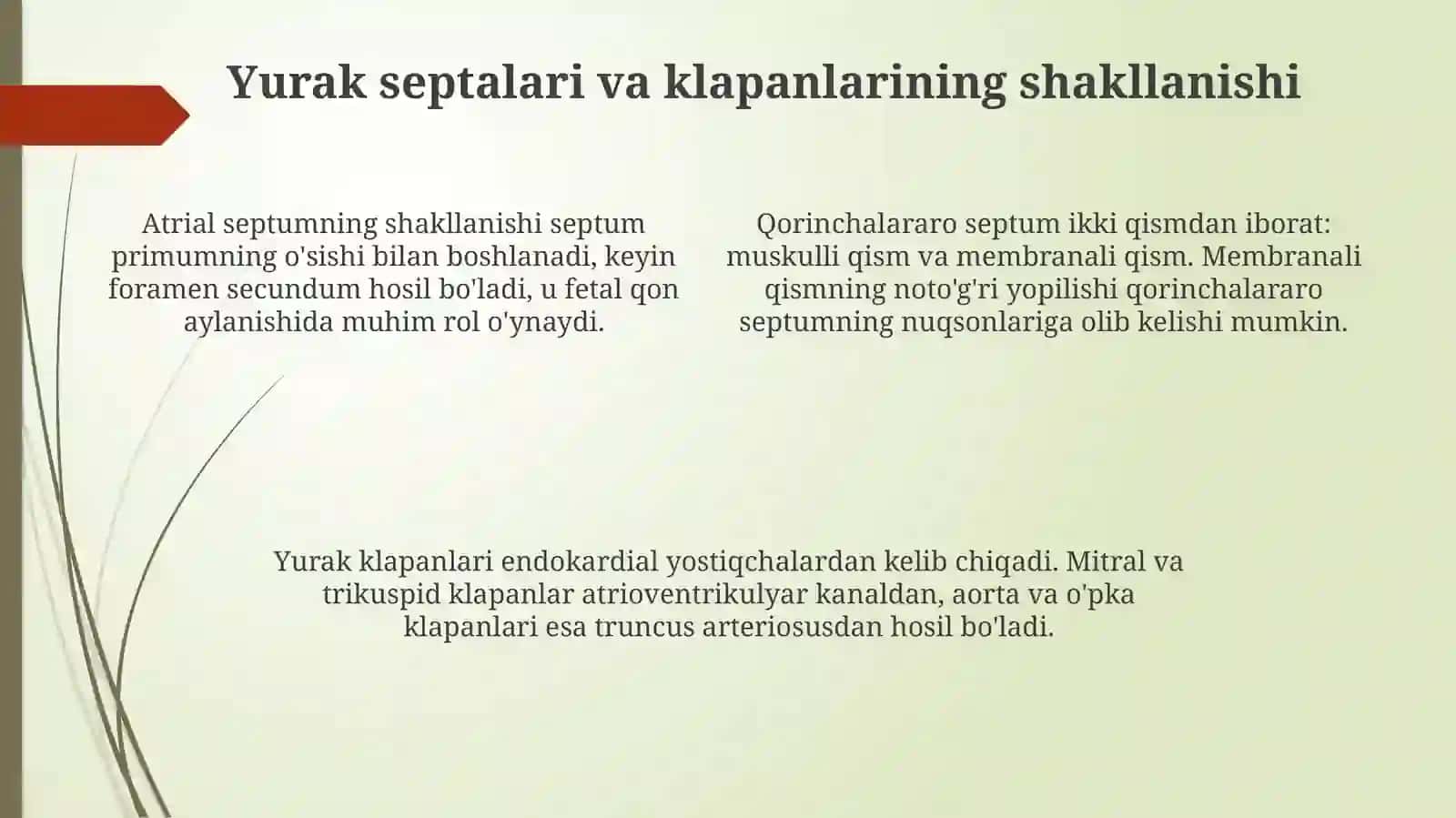 Kardiovaskulyar embriologiya 4