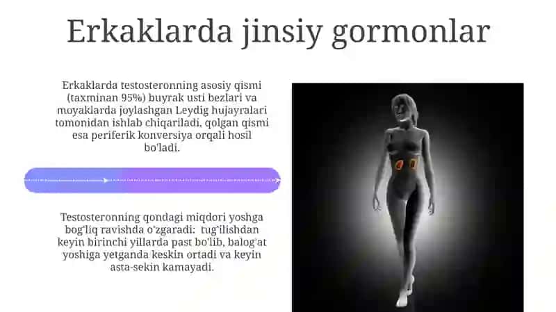 Markaziy endokrin tizim a'zolari 4
