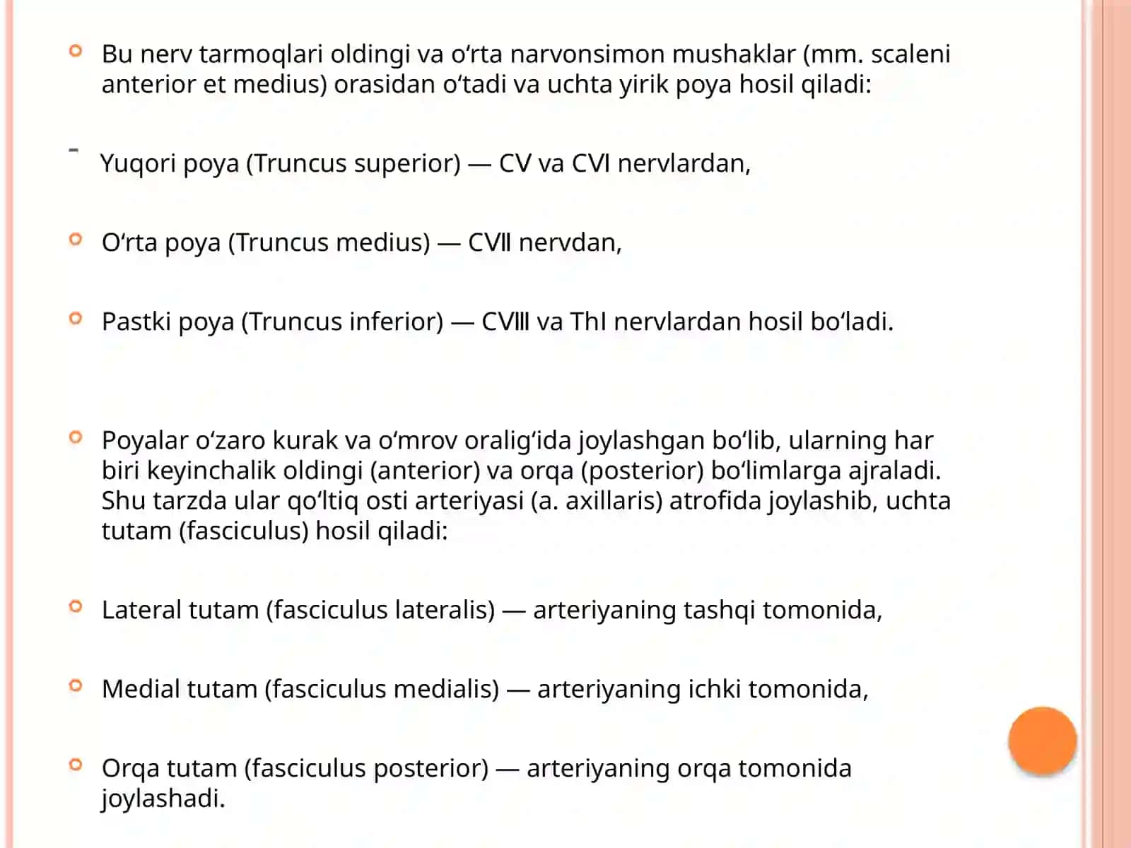 yelka chigali(plexus brachialis) 4