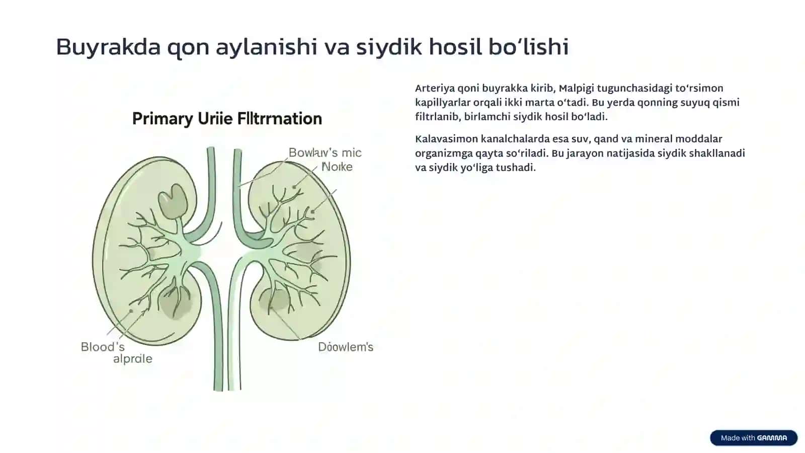 Ko'p tarmoqli tibbiyot texnikumi 4