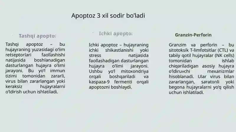 Apoptoz 4