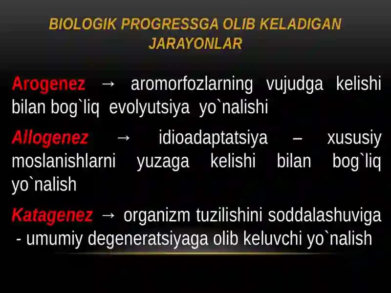Organik olam filogenezining umumiy tavsifi 4
