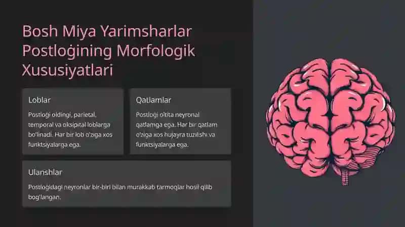 Bosh Miya Yarimsharlar Postloġining Morfogenezi 4