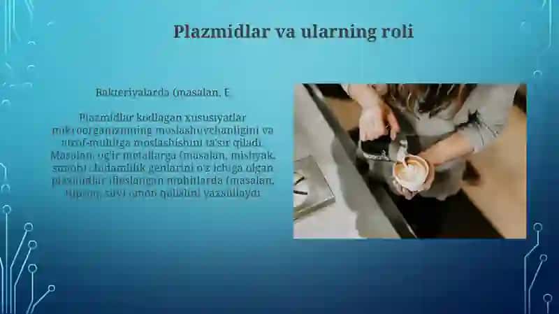 Mikroorganizmlarning o`zgaruvchanligi va irsiyati 4