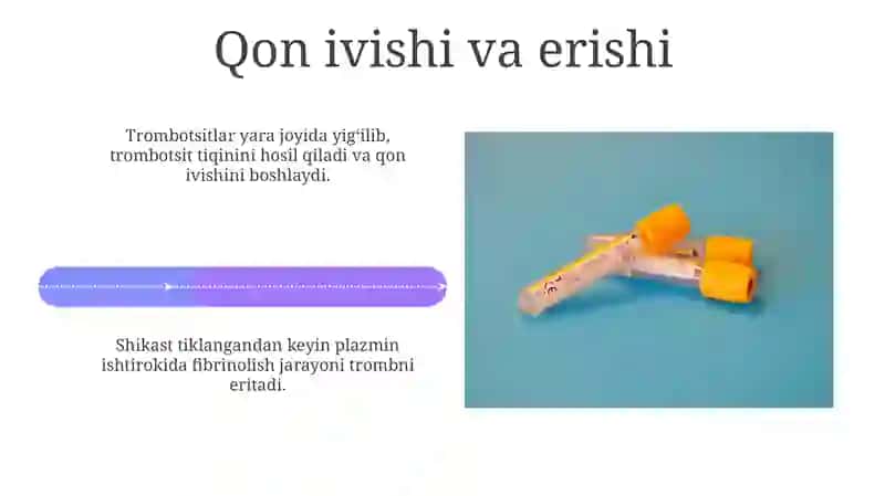 Trombositlar. Qon ivish jarayoni 4