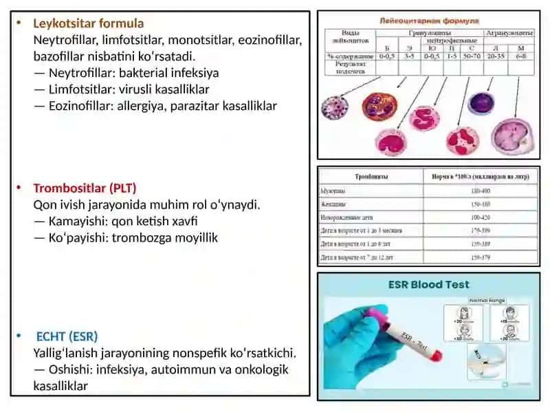 Umumiy qon va bioximik tahlil, koagulogramma 4