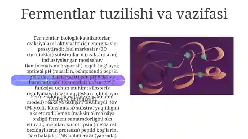 Fermentlar 4