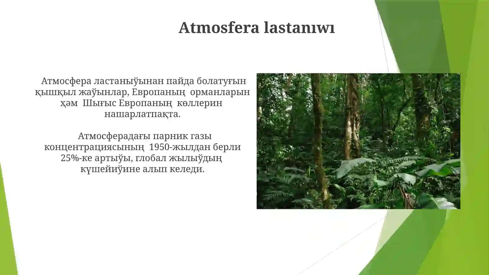 Адам факторлариның биосфераға кері тәсирини азайтыў 4