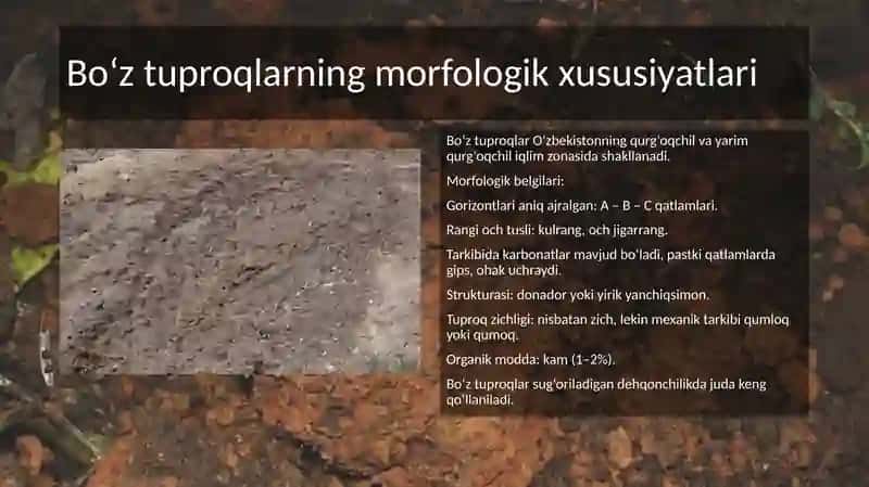Tuproq morfologiyasi 4