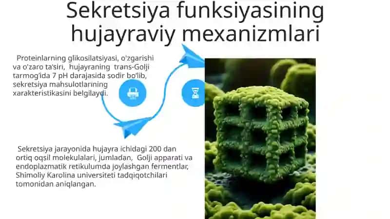Bez sekretsiyasining ulturastuktura asoslari 4