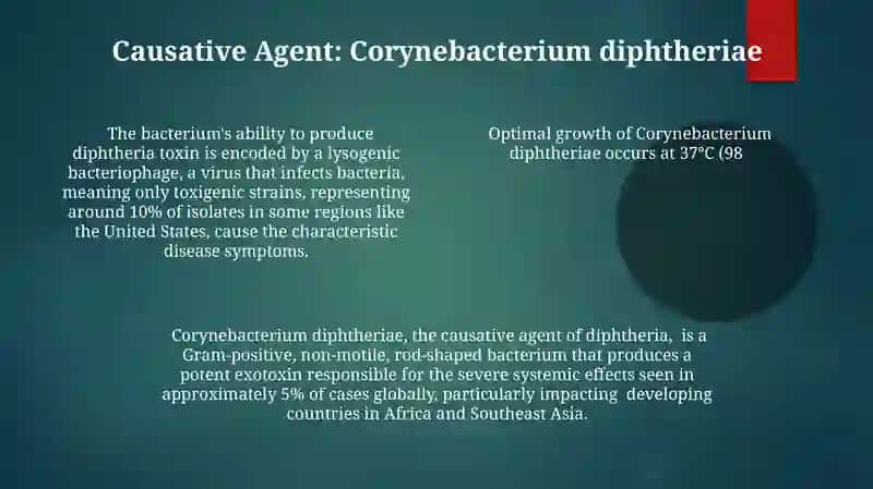Diphtheria: A Historical Overview 4