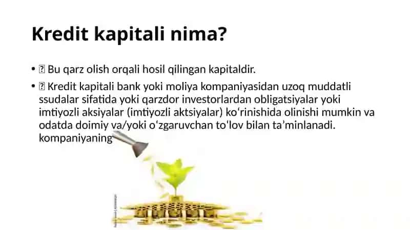 Kompaniyaqarzkapitali 4
