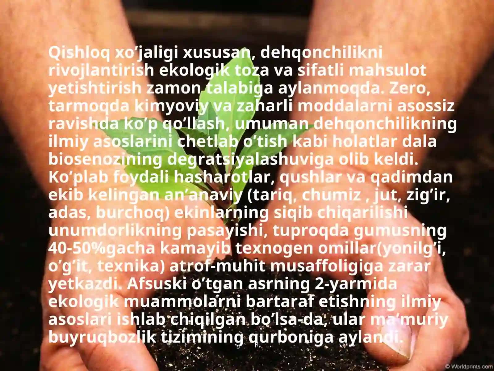 Qishloq xo’jaligi va atrof-muhit 4