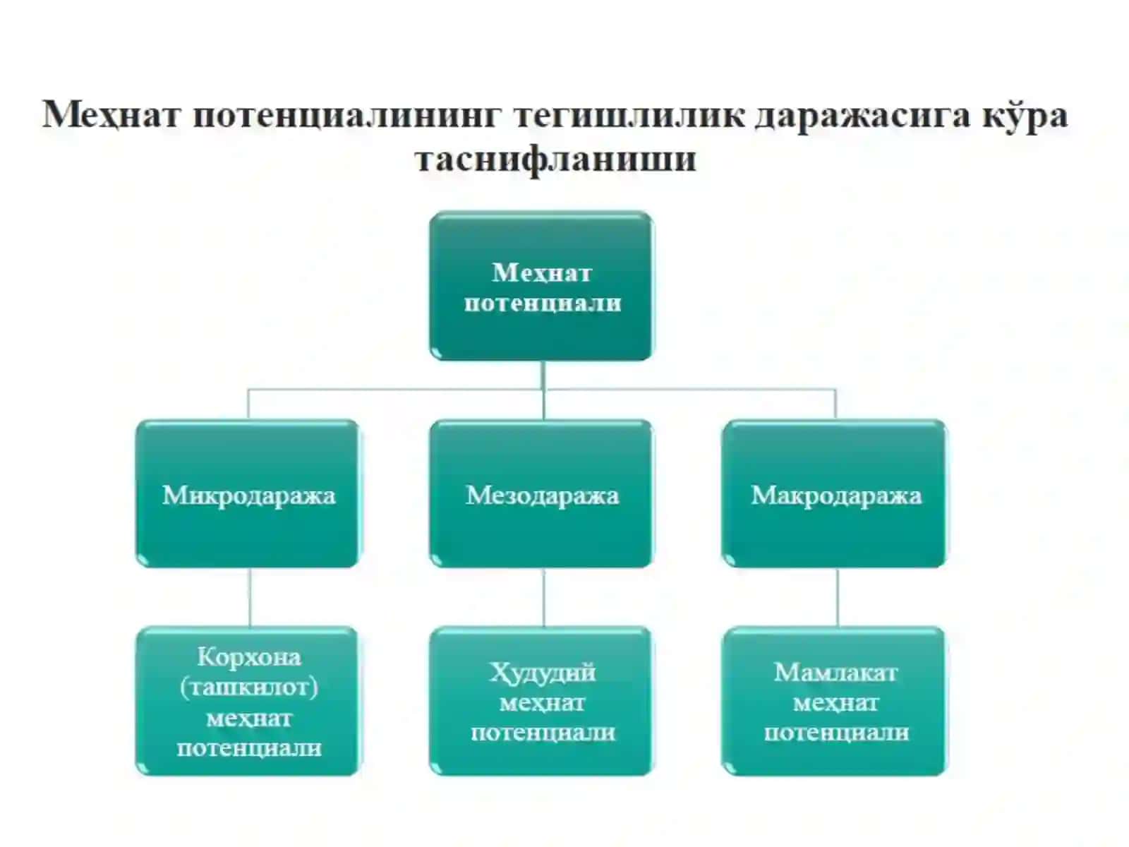МЕХНАТ ПОТЕНЦИАЛИ 4