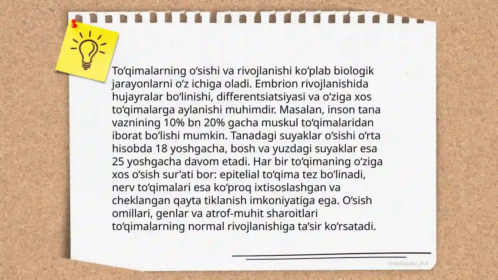 Gavda tuzilishining umumiy sharhi 4