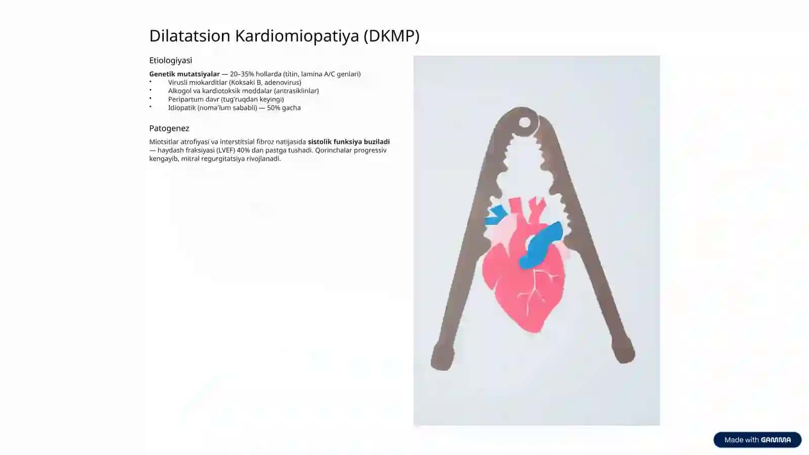 Kardiomiopatiyalar 4
